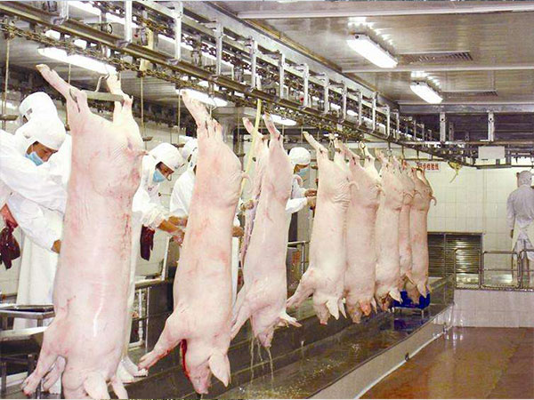 養(yǎng)殖、屠宰廢水